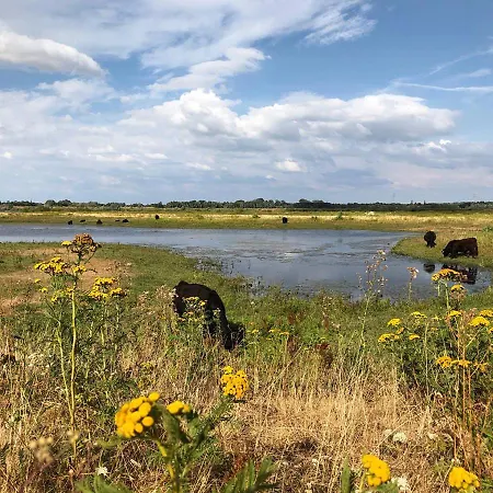 Hotel-cafe Knoors-meeks Stein Urmond Ξενοδοχείο *