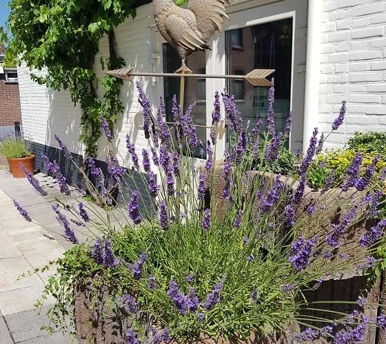 Hotel-cafe Knoors-meeks Stein Urmond * Berg