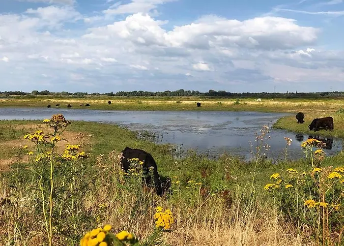 Hotel-cafe Knoors-meeks Stein Urmond Отель *